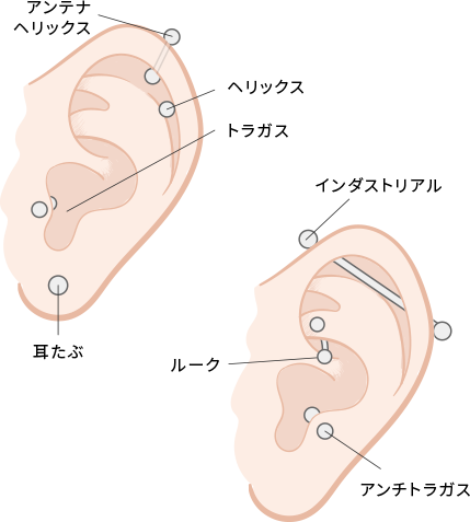 耳の穴あけが可能な部位
